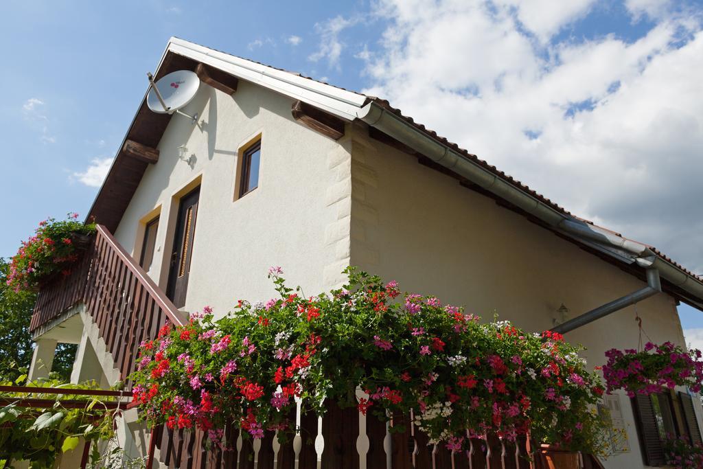 Apartment Ines Smoljanac Dış mekan fotoğraf